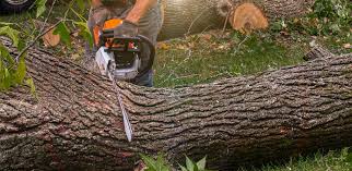Best Lawn Irrigation Installation and Maintenance  in Kirby, TX
